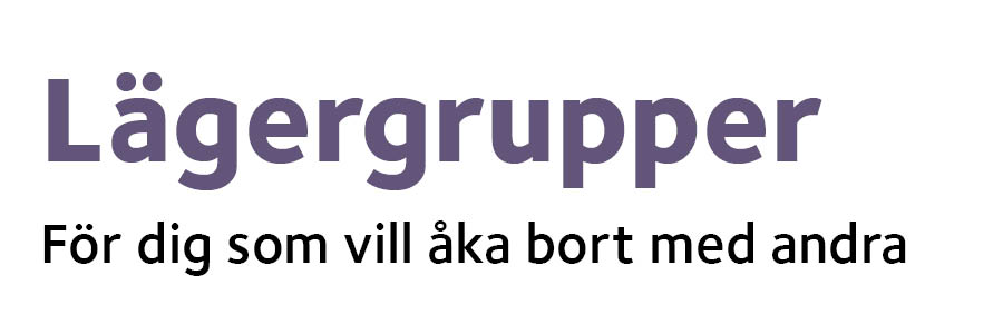 lägergrupper_bild